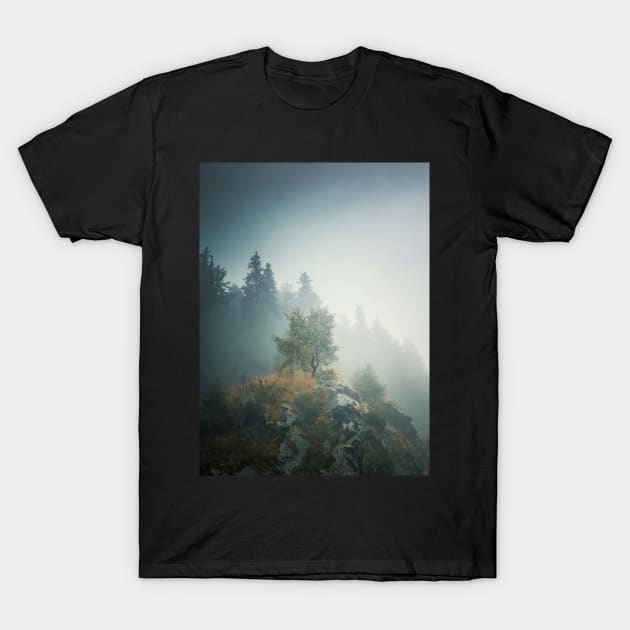 Solitary tree on a misty hill T-Shirt by psychoshadow